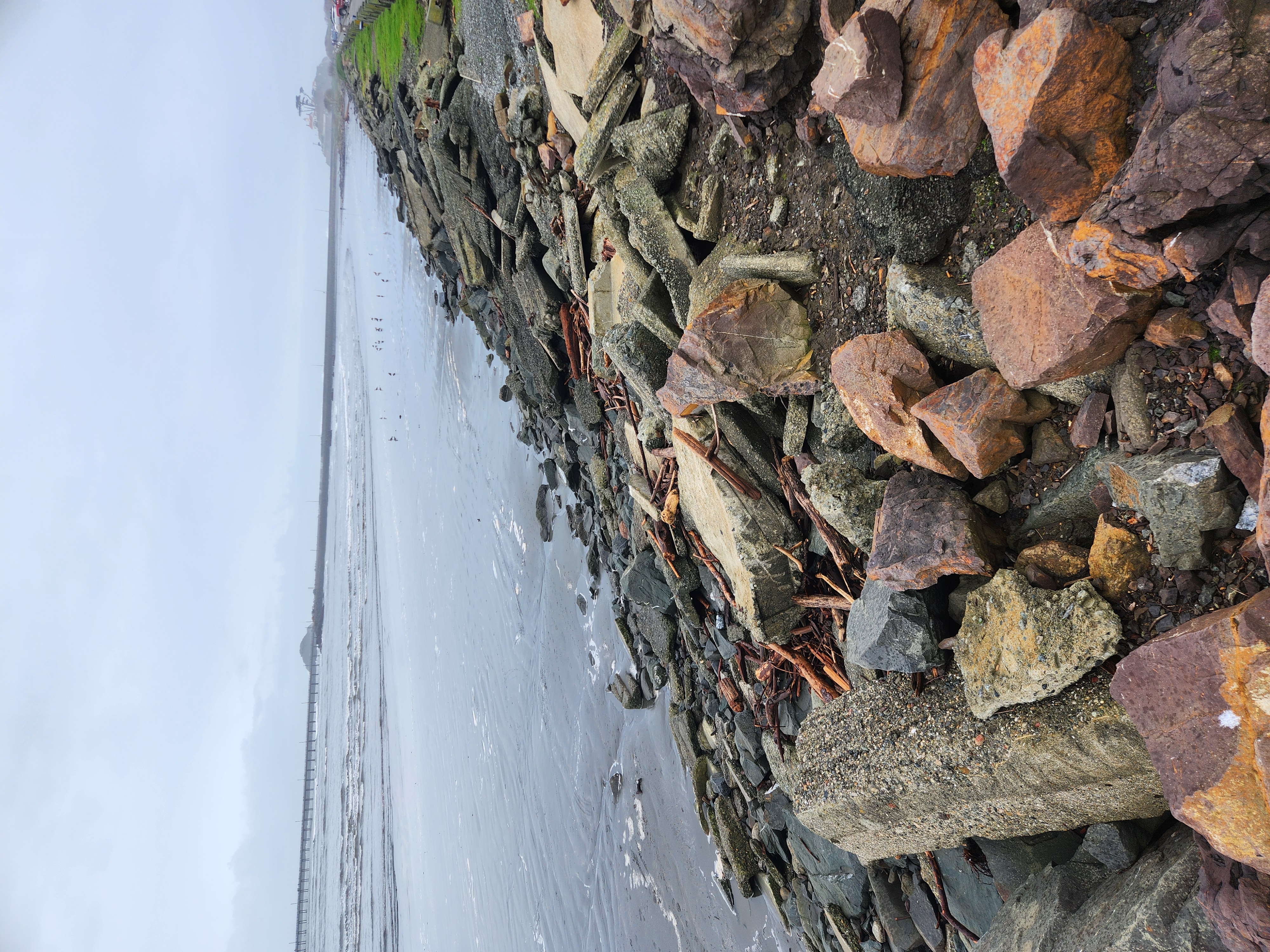 Looking Toward the Lighthouse 1