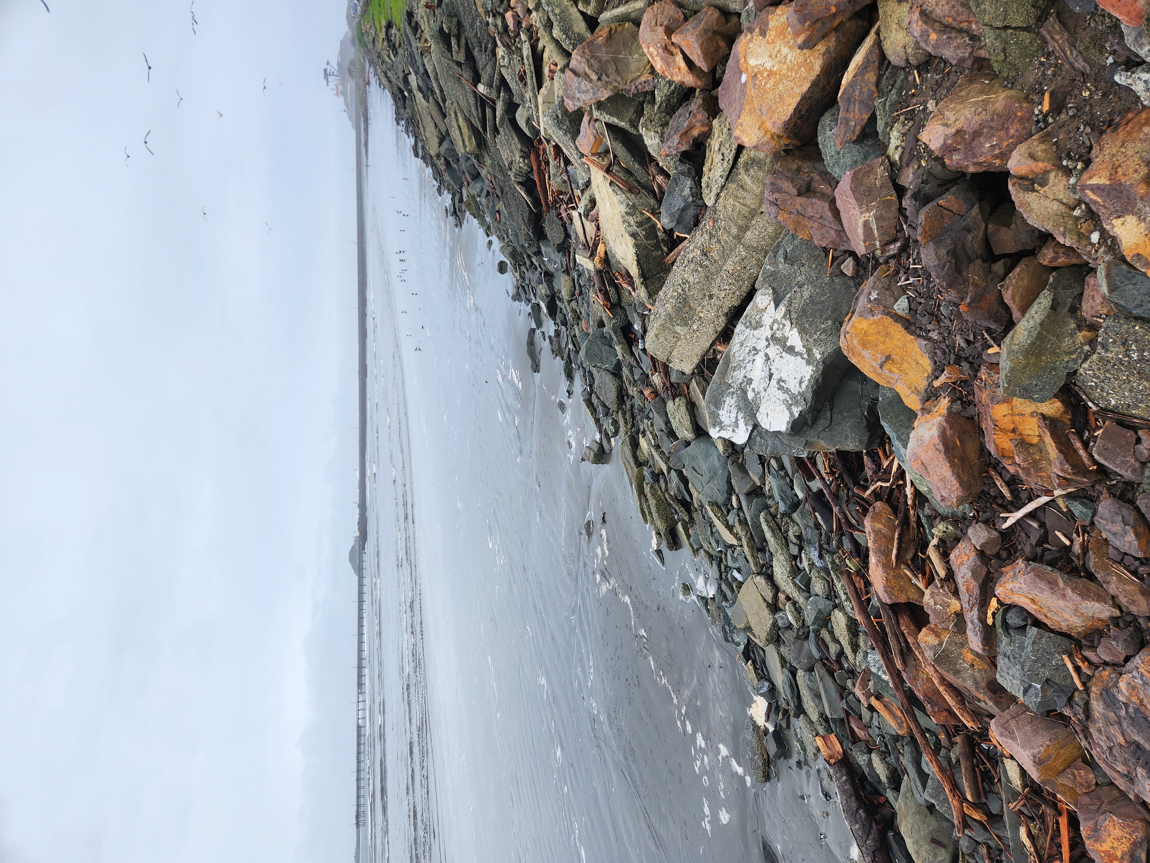 Looking Toward the Lighthouse 2